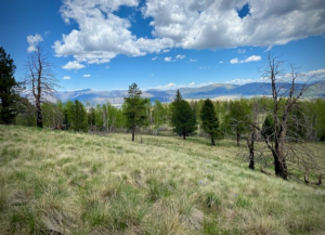 View from the TOP meadow